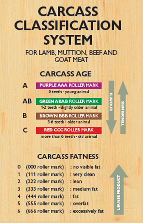 classification